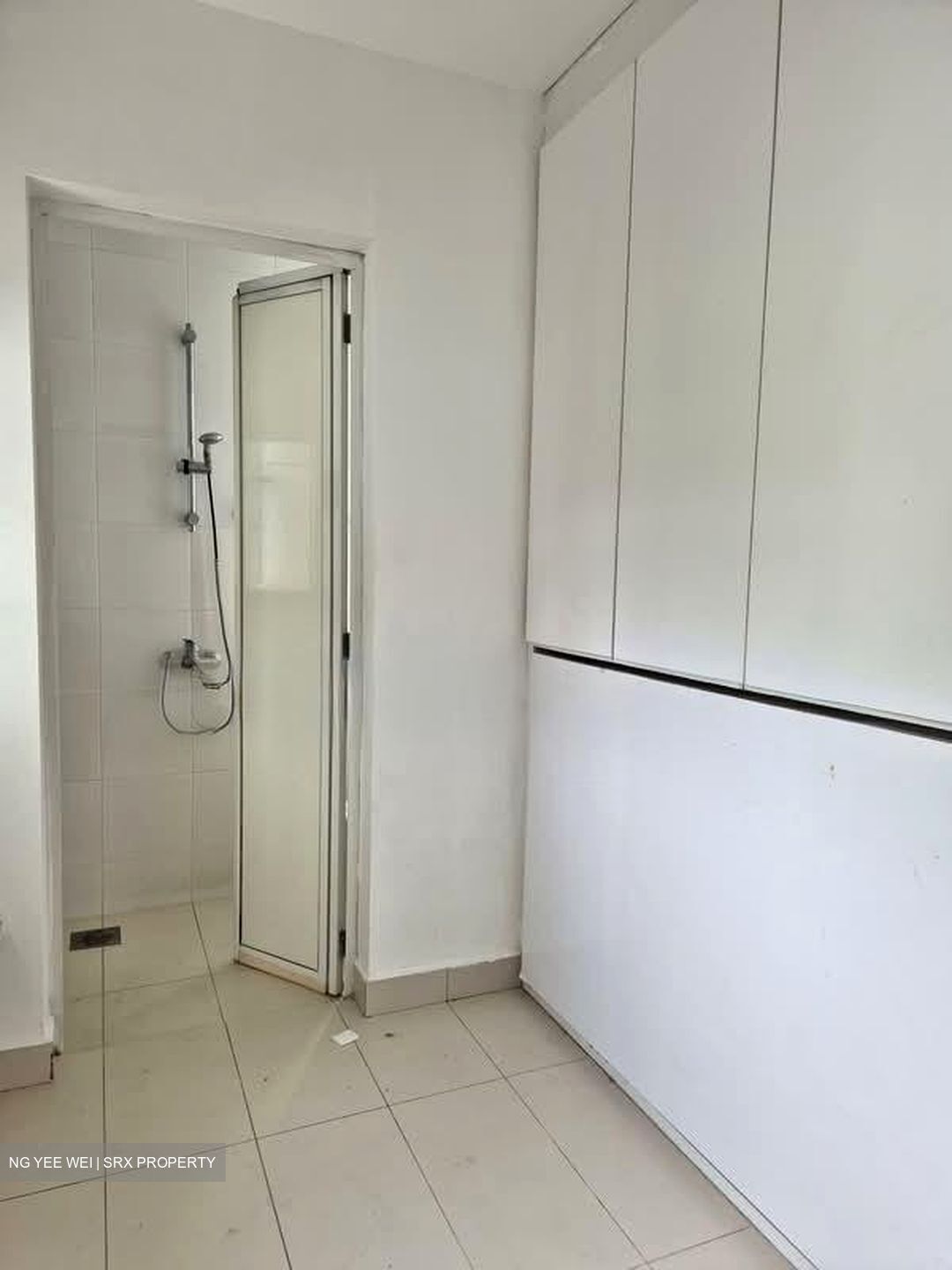 Nassim Regency (D10), Condominium #553855701